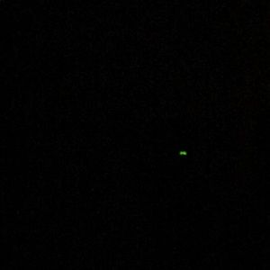 Meet your Posher, Luis